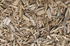 biomass boilers Hartsop